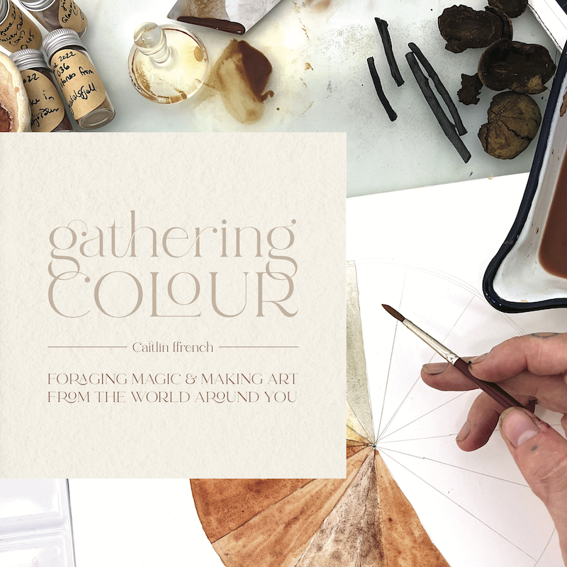 Image description: Book cover featuring a hand with a paintbrush and a variety of natural hues in shades of brown, and the title, "Gathering Colour."