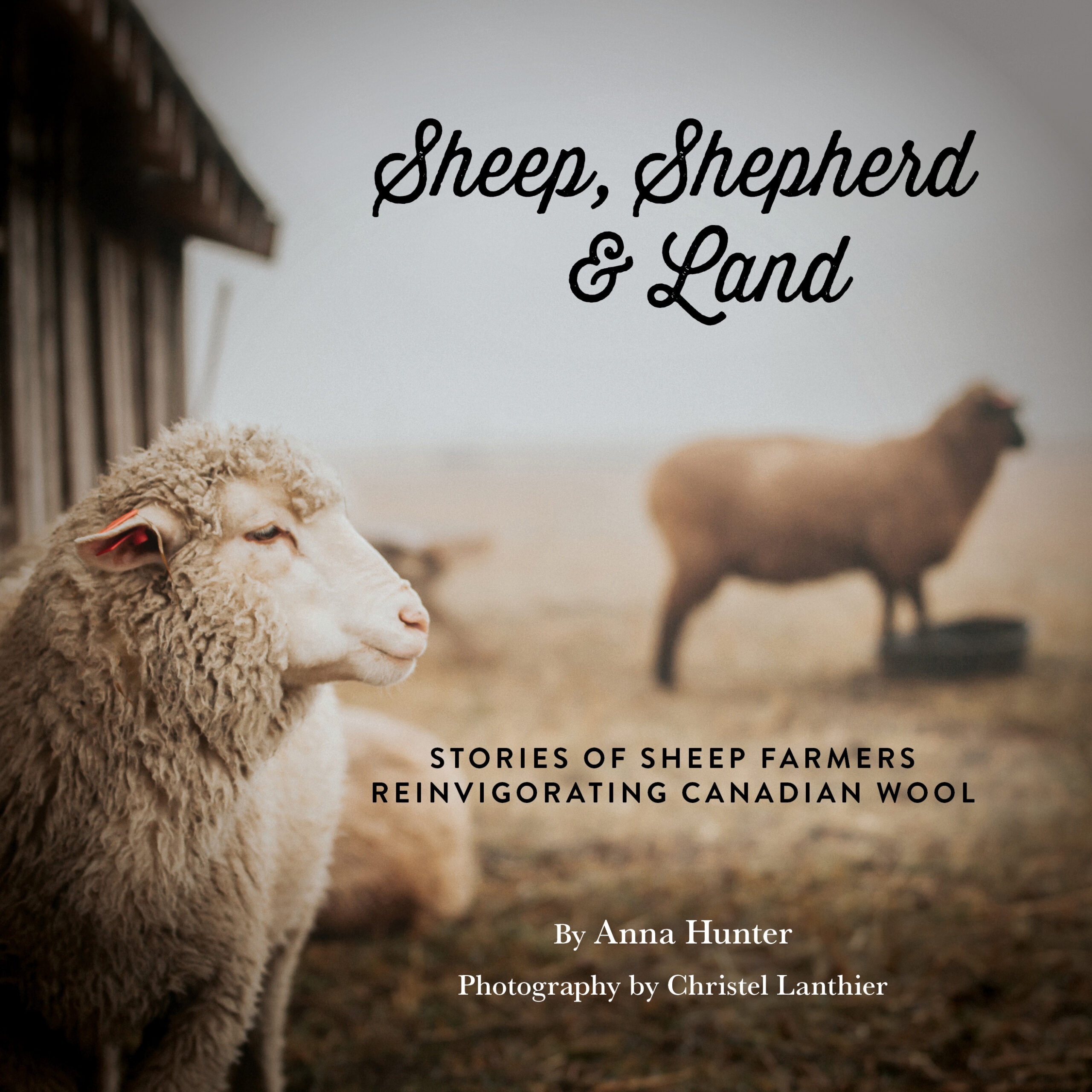 Sheep, Shepherd & Land book cover image.