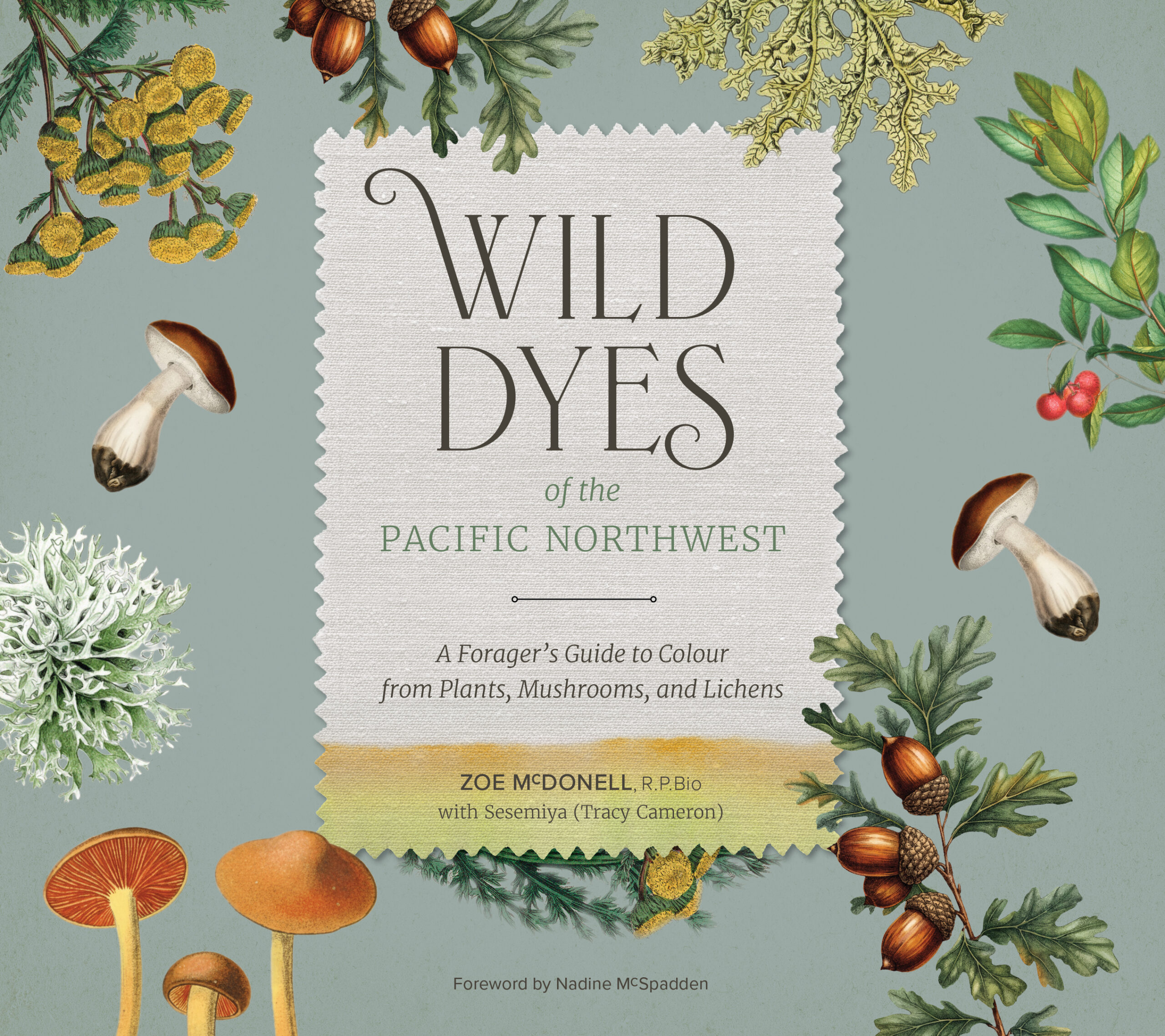 Book cover of Wild Dyes of the Pacific Northwest, by Zoe McDonell.